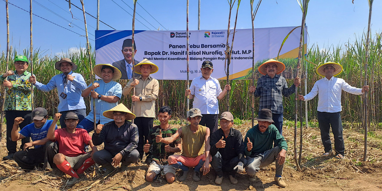 Wakil Menteri Koordinator (Wamenko) Bidang Pangan Hanif Faisol Nurofiq saat panen raya tebu di Desa Ganjaran, Kecamatan Gondanglegi, Kabupaten Malang. (Foto: Aris/jatimnow.com)