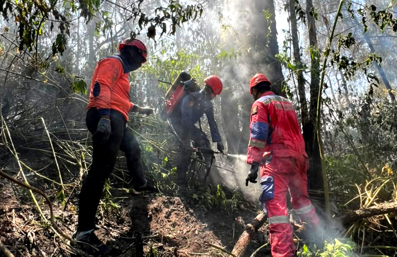 Tim DPKP Surabaya membantu pemadaman Karhutla Bromo (Foto: Kominfo Surabaya for jatimnow.com)