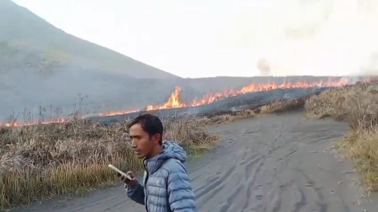 Kawasan Taman Nasional Bromo Tengger Semeru (TNBTS) kembali dilanda kebakaran. (Foto: Istimewa/jatimnow.com)