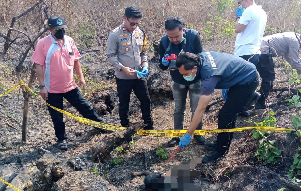Geger Penemuan Kerangka Manusia Berserakan di Hutan Lamongan