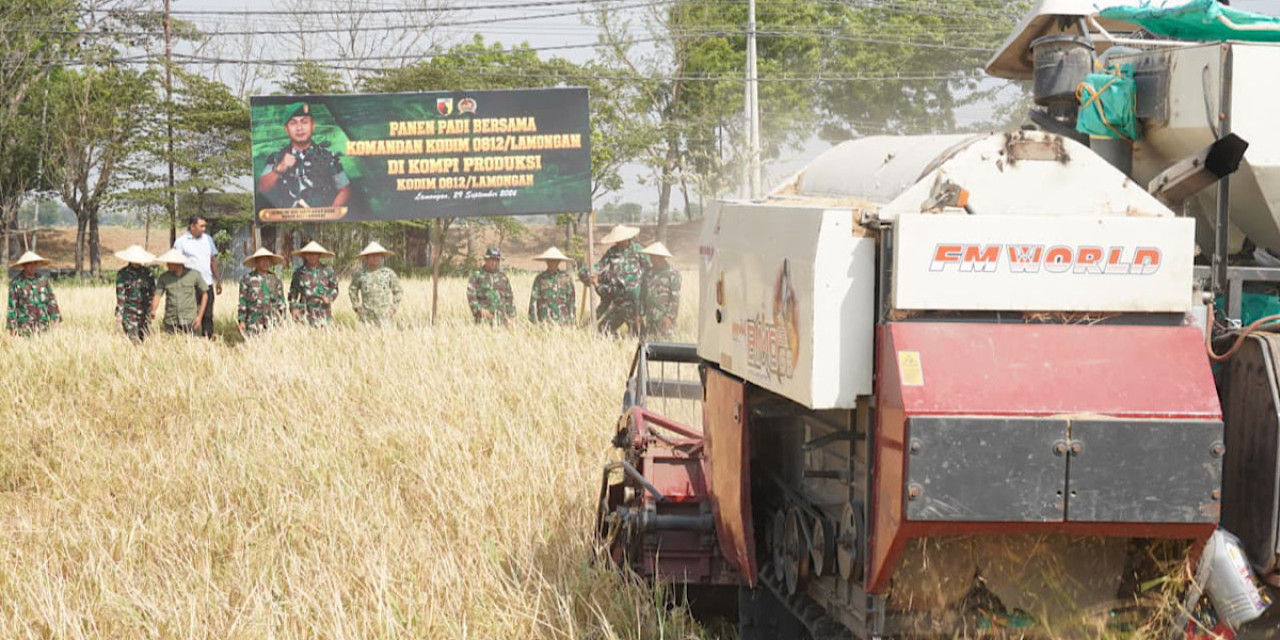 Panen raya padi oleh Kodim 0812 Lamongan di Kompi Produksi. (Foto: Kodim Lamongan for jatimnow.com)