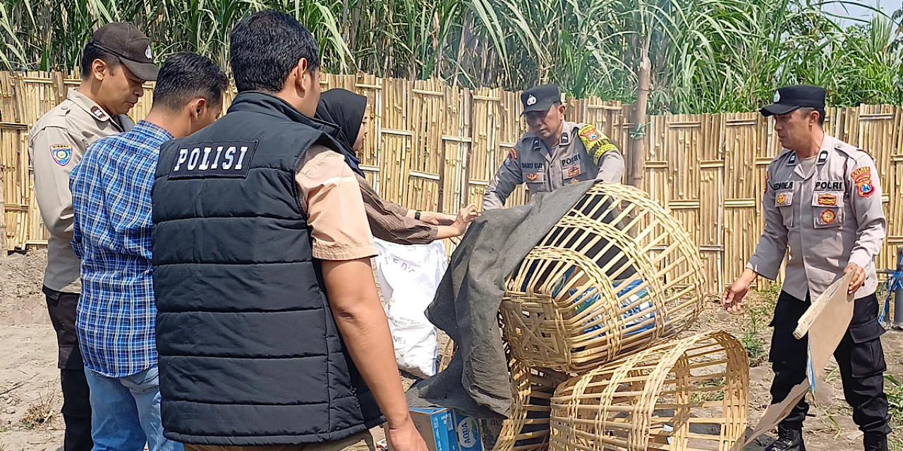 Polsek Kandat Gerebek Lokasi Sabung Ayam di Desa Ringinsari, Diduga Bocor