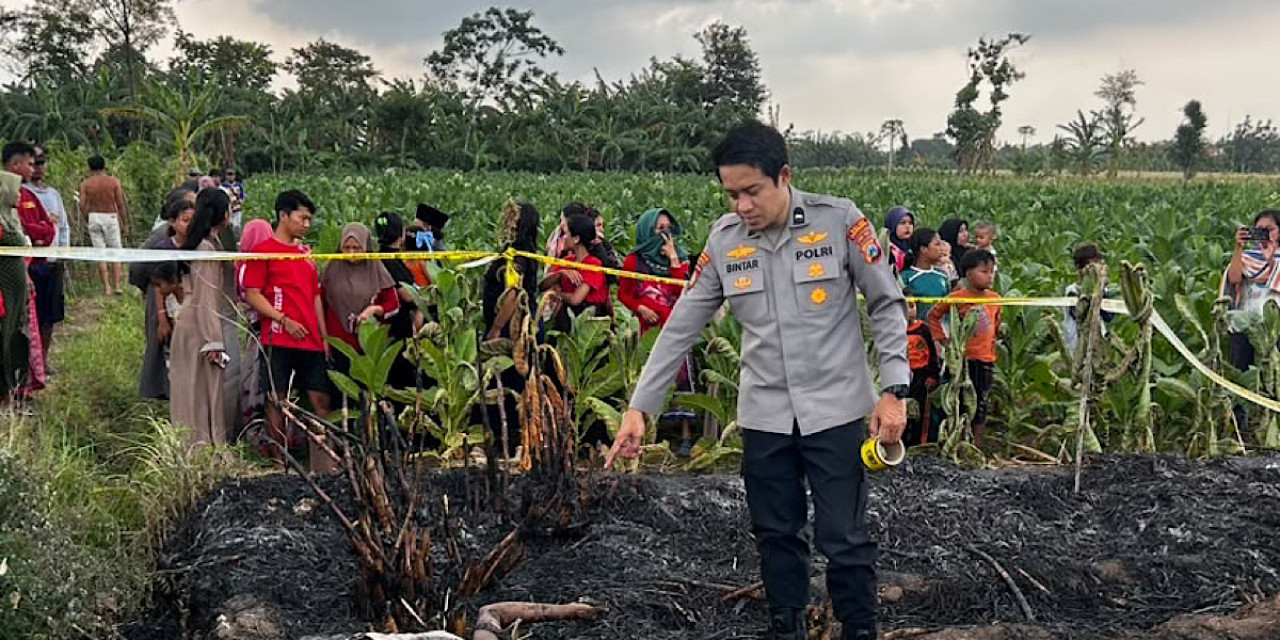 Warga Temukan Pria Tewas Terpanggang di Ladang Tebu Liprak Wetan Probolinggo