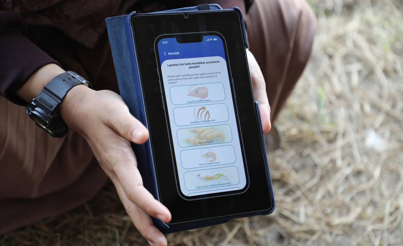Aplikasi SMARTAMBAK berbasis AI resmi diluncurkan untuk memetakan dan mendeteksi penyakit udang langsung lewat ponsel petambak. (Foto/jatimnow.com)