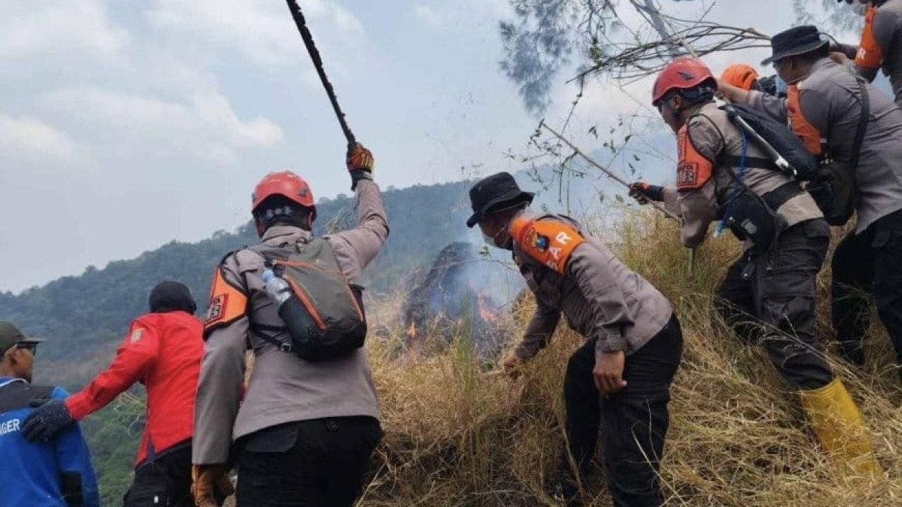 Petugas gabungan dari Polda Jawa Timur, kehutanan, dan relawan terus berupaya mengendalikan kebakaran di Blok Jedingan Pendem. (Foto: Bidhumas Polda Jatim/jatimnow.com)