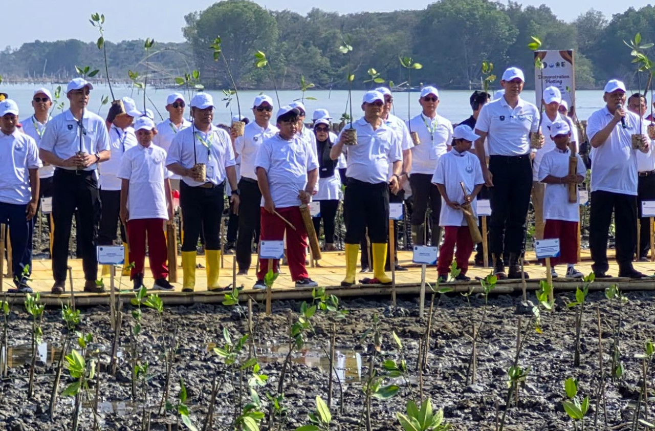 Pelindo pasang ratusan HexBRIck dan tanam ribuan mangrove di Timbulsloko Demak demi redam abrasi rob serta amankan jalur logistik Pantura. (Foto: Pelindo for jatimnow.com)