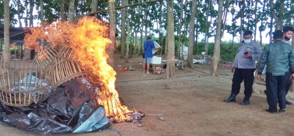 Polisi membakar barang bukti diduga sarana judi sabung ayam.