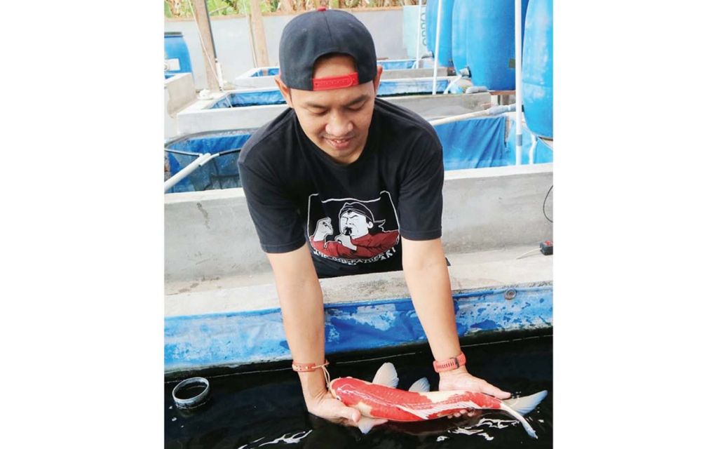 Rio Yustan, ASN Pemkab Ponorogo yang menekuni budiaya ikan koi