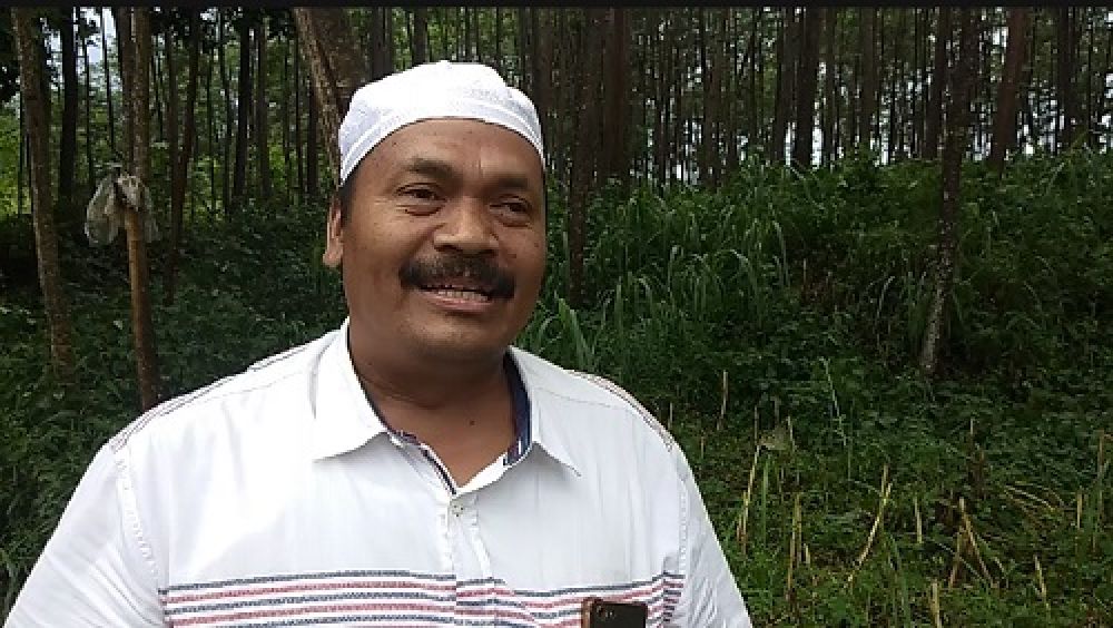 Ketua Paguyuban Kayu Sengon Kabupaten Probolinggo, Abdul Manap 
