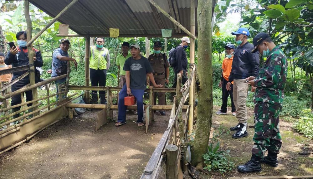 Arena balap kelinci di Desa Tambelang, Kecamatan Krucil, Kabupaten Probolinggo ditutup sementara