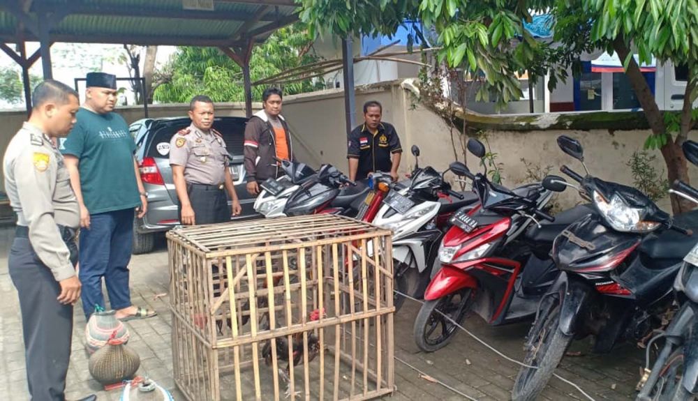 Barang bukti judi sabung ayam diamankan di Mapolsek Besuk, Polres Probolinggo