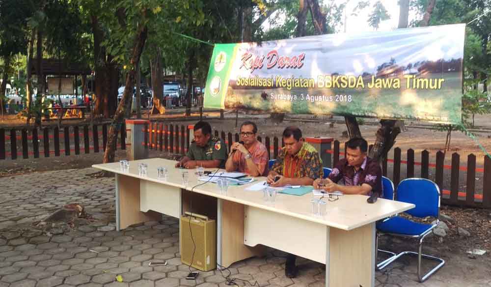 Catat! Ini Jenis-jenis Burung yang Bakal Masuk Kategori Dilindungi