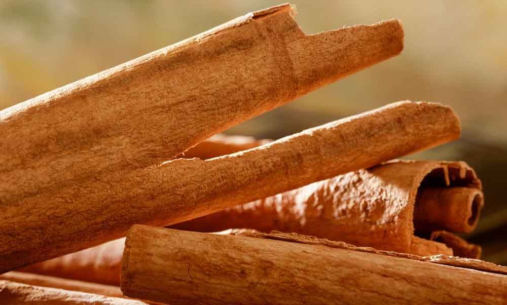 Kayu manis/ wikipedia