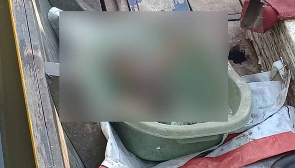Mayat bayi ditemukan di Sungai Mangrove Wonorejo, Rungkut, Surabaya