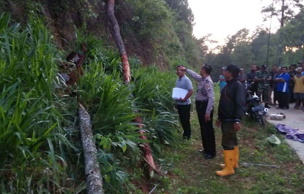 Seorang Bocah di Ponorogo Tewas Tertimpa Pohon