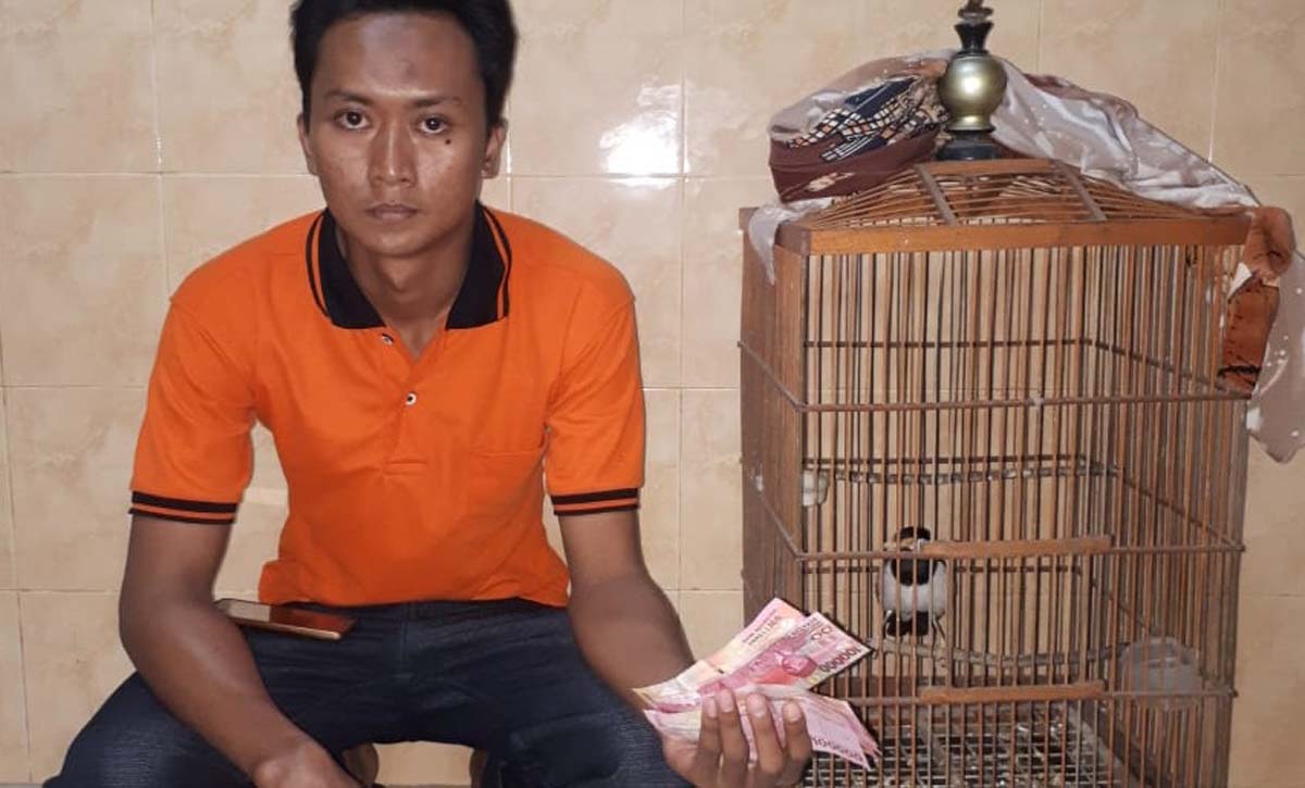 Barang bukti Jalak Suren yang diamankan dari tersangka

