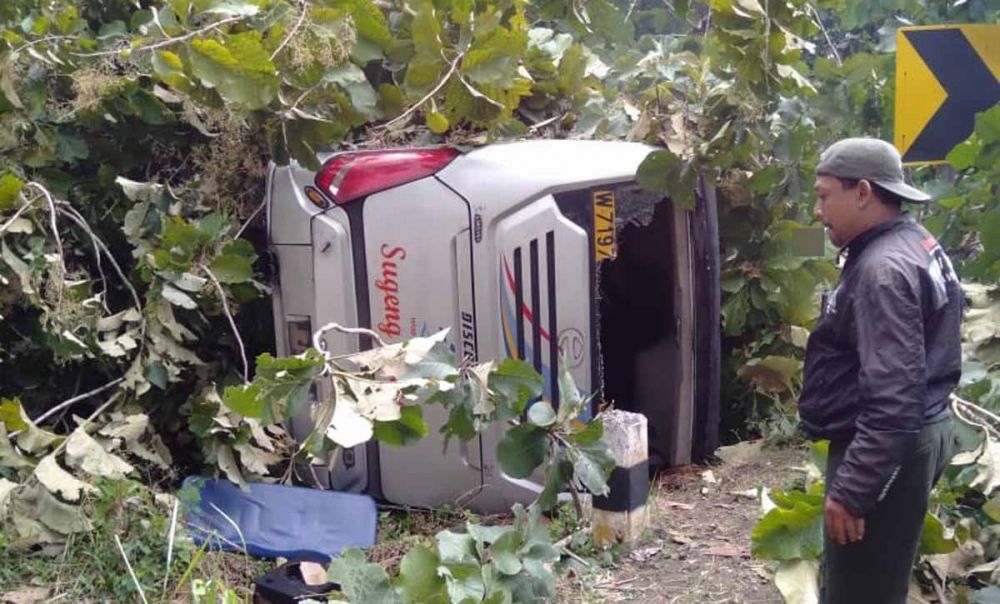 Bus Sugeng Rahayu yang terguling usai menabrak pohon di Ngawi