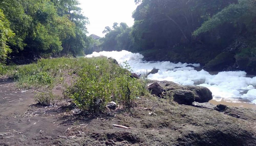 Busa menutupi sungai di Kecamatan Kejayan, Kabupaten Pasuruan