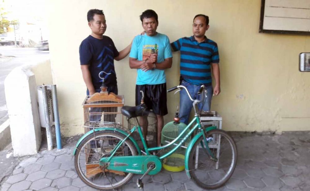 Gerandong, pencuri burung love bird diamankan di Mapolsek Siman, Ponorogo