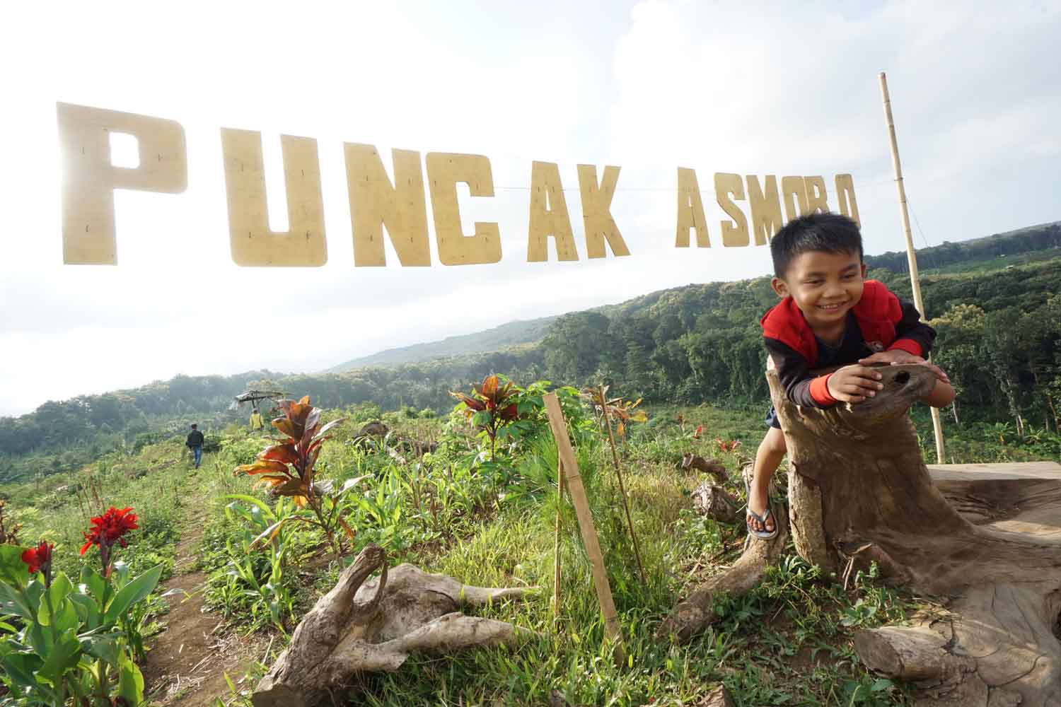 View Puncak Asmoro Banyuwangi