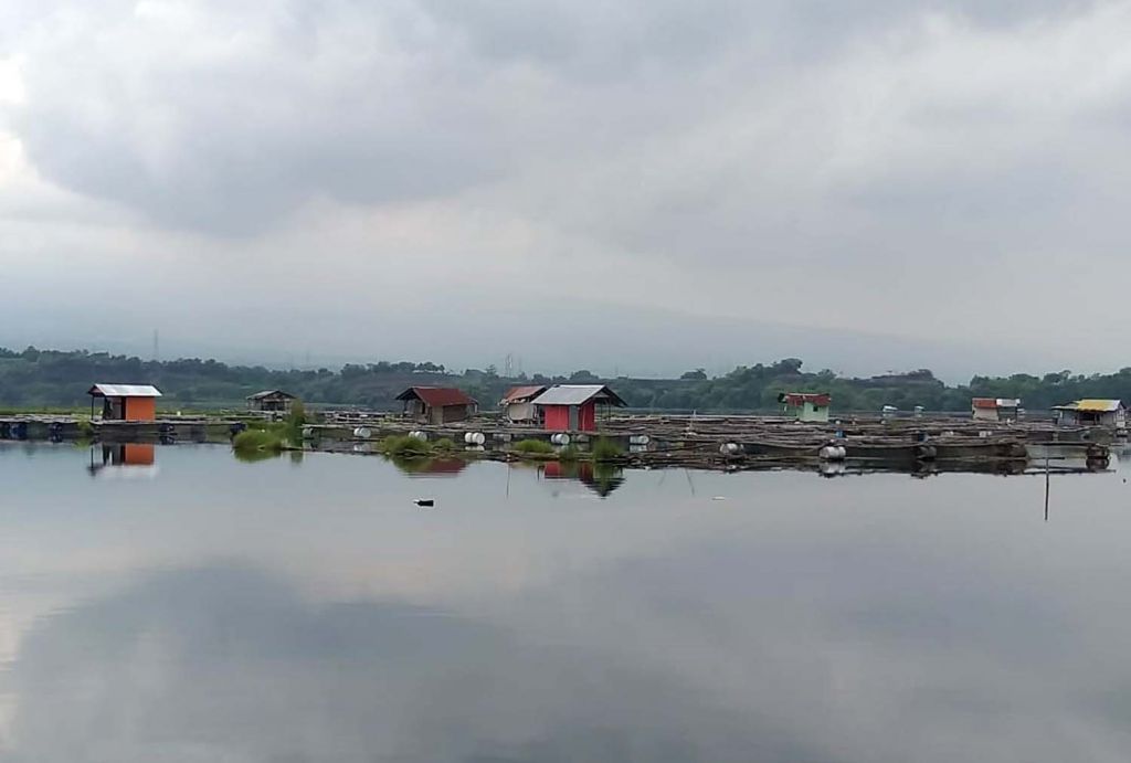 Danau Ranu, Grati, Pasuruan (Foto: Dok. jatimnow.com)