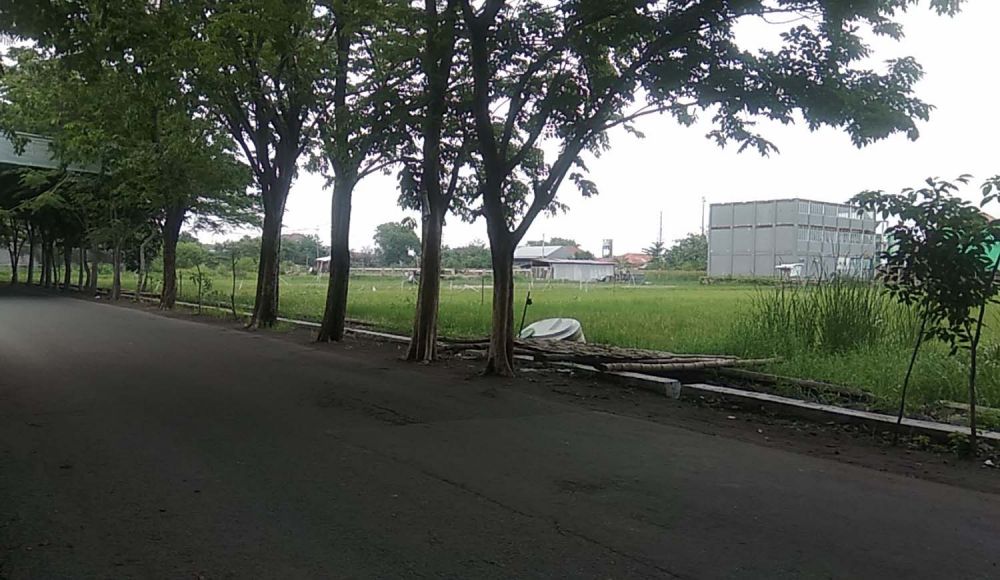 Jalan Raya Siwalanpanji, Buduran, Sidoarjo yang diduga jadi lokasi pria onani di atas motor