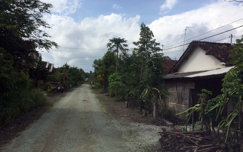Dusun Krajan di Banyuwangi, tempat kelelawar putih menampakkan diri