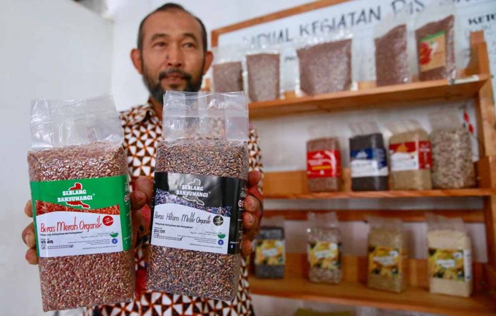 Beras organik Banyuwangi tembus Pasar Italia