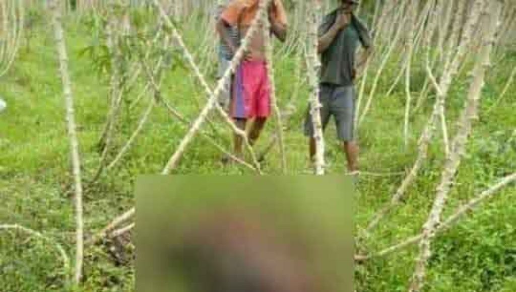 Remaja Ditemukan Tewas Setelah Hilang 5 Hari, Ponselnya Disebut Raib