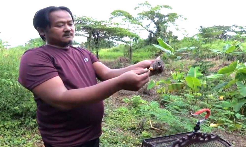 Faruq saat melepas burung ke alam bebas