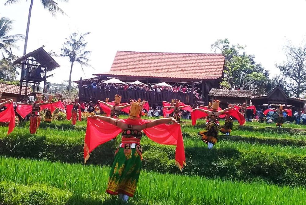 Para Penari Gandrung menari di pematang sawah Banyuwangi