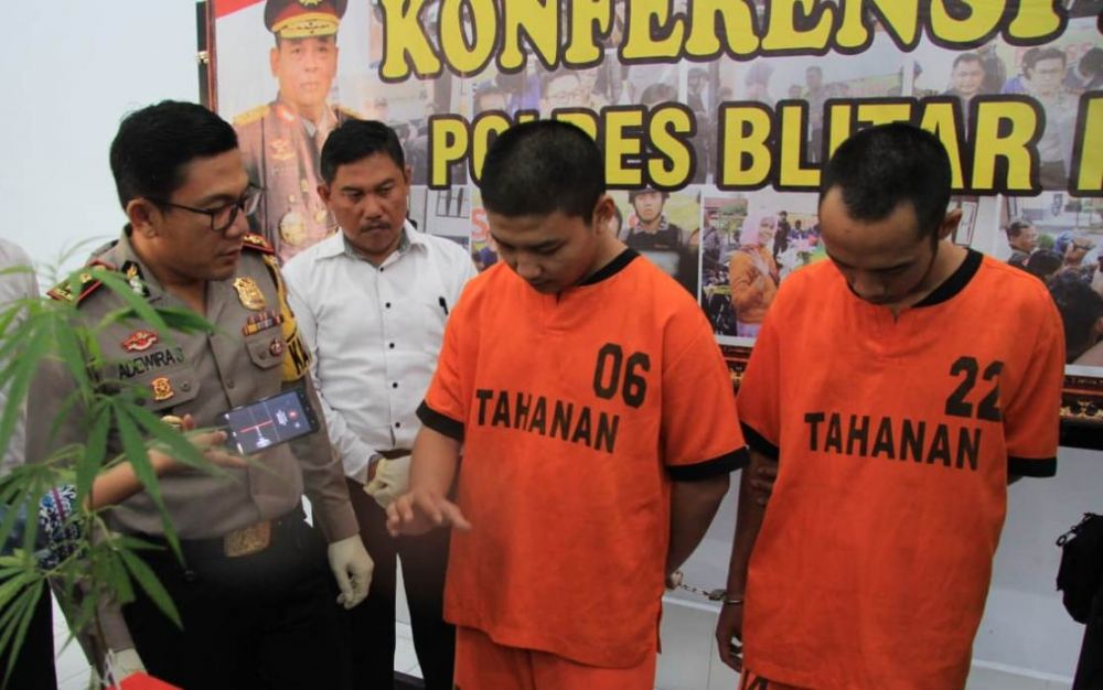 Kapolres Blitar Kota AKBP Adewira Negara Siregar menginterogasi dua pemuda yang bersekongkol tanam ganja