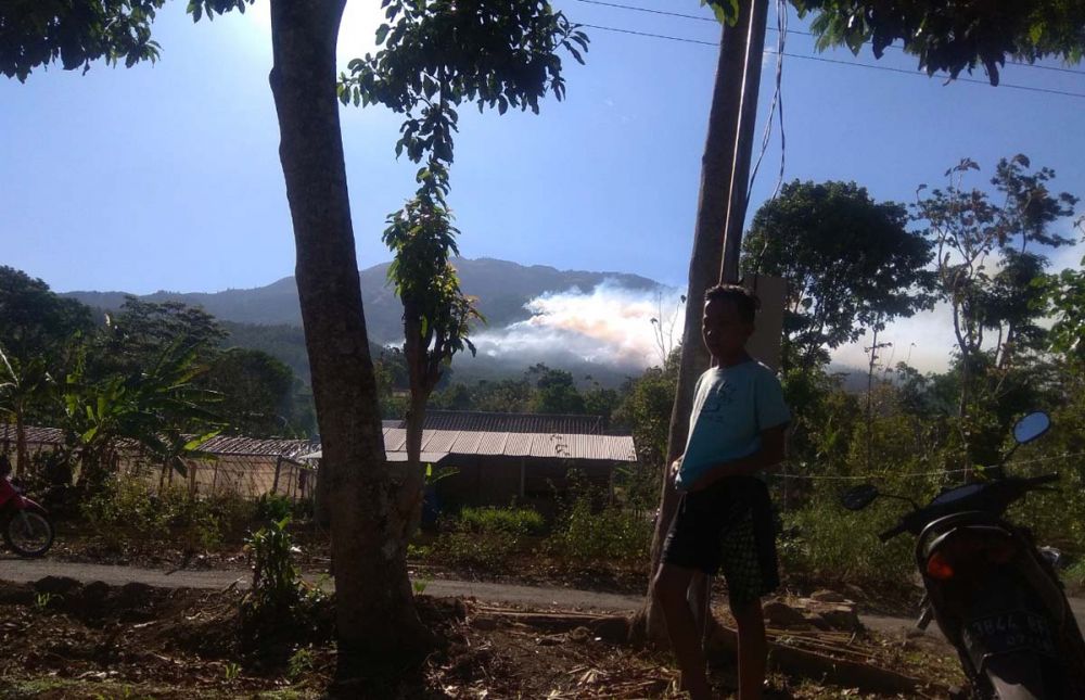 Hutan di sisi timur Gunung Lawu terbakar