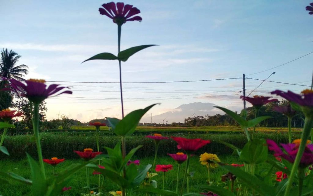 Penampakan Gunung Raung