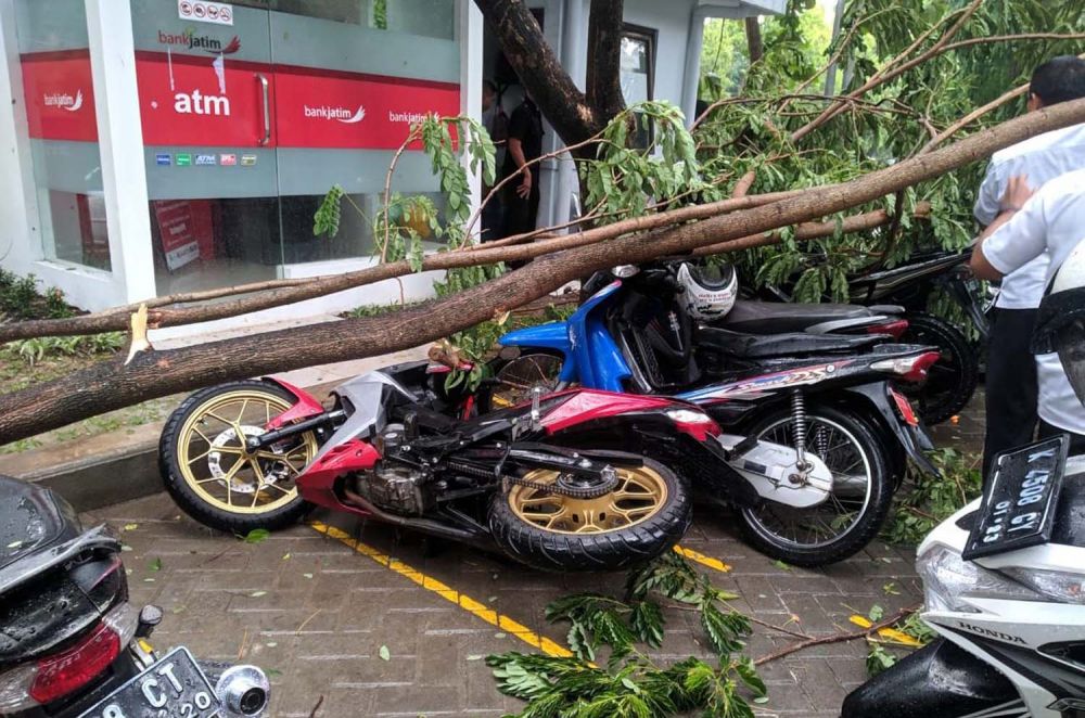 Hujan Angin Kembali Sapu Bojonegoro