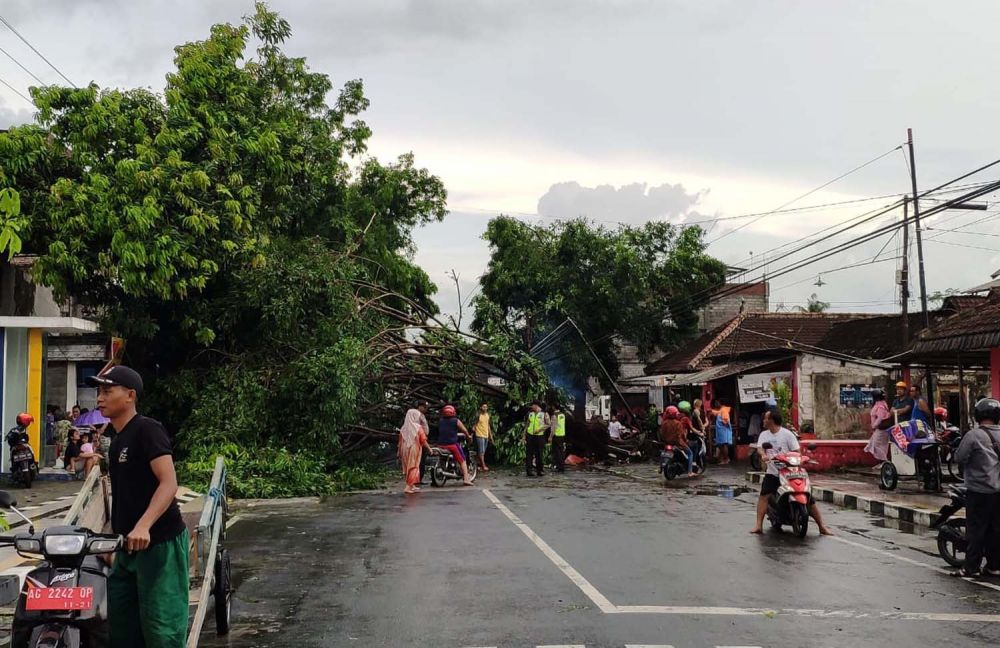 Pohon tumbang menutup jalan akibat hujan angin di Blitar
