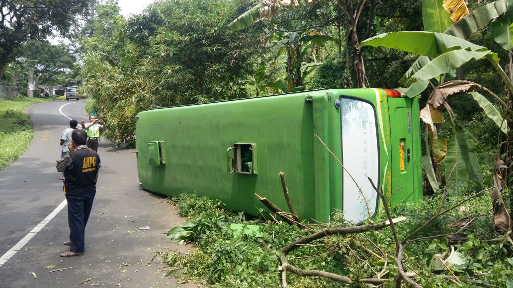 Bus Pariwisata yang mengangkut siswa SD Terguling di Prigen.