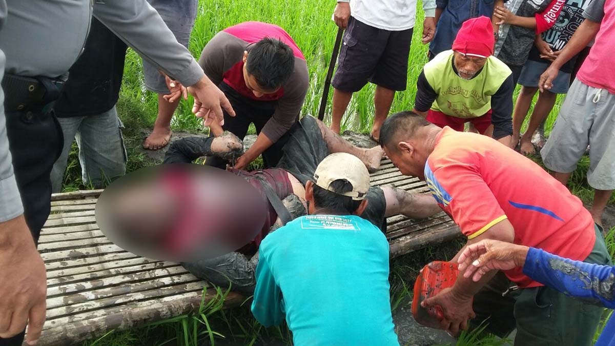 Korban Sujiono saat ditemukan warga di pematang sawah.
