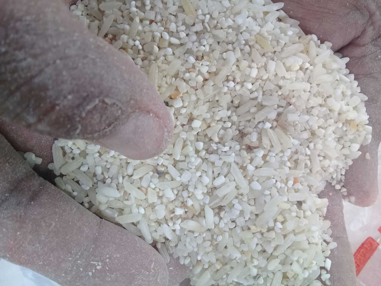 Kondisi beras Rastra yang diterima warga Banyuwangi.