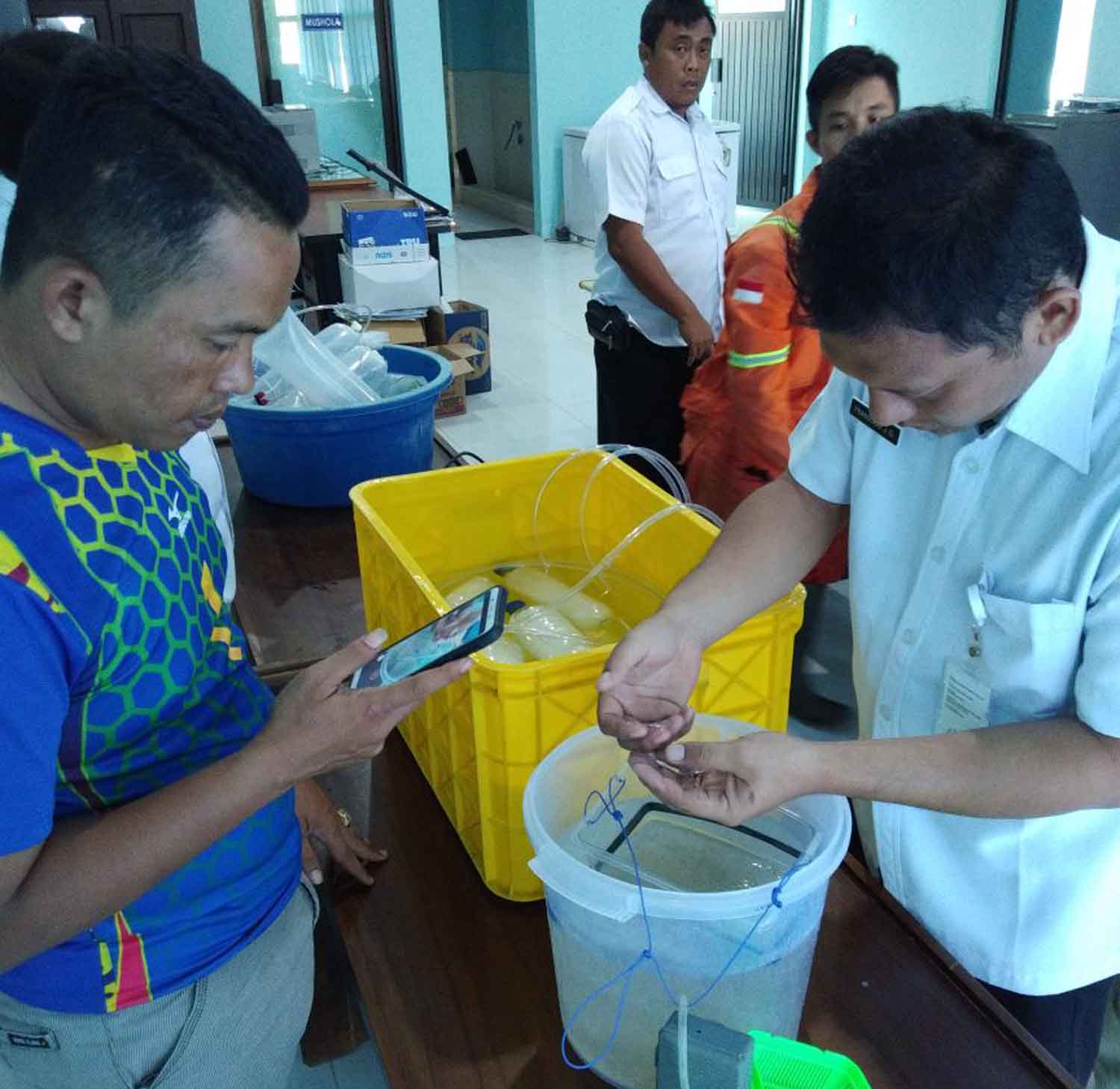 Jual Beli Benur, 12 Nelayan Dilepaskan, 1 Orang Ditetapkan Tersangka