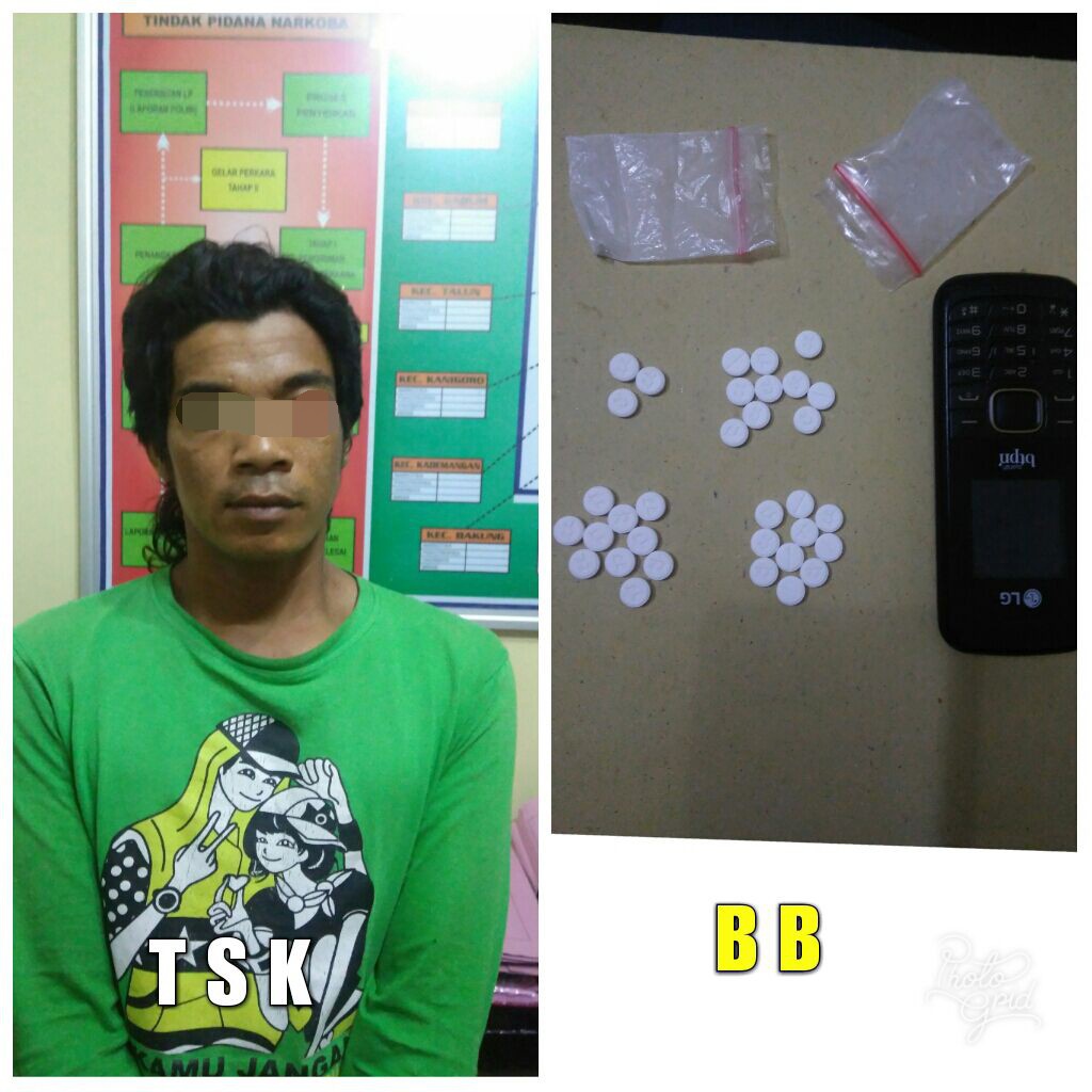 Demi Penghasilan Tambahan, Buruh Kandang Ayam  Edarkan Pil Koplo