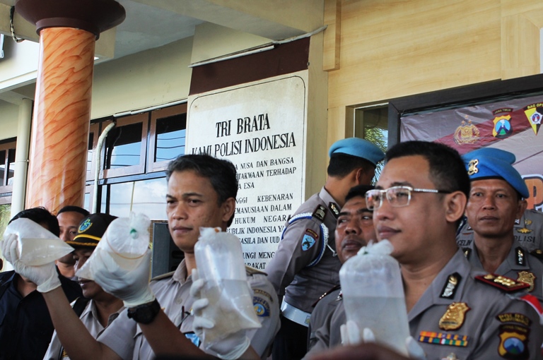 Kapolres Banyuwangi AKBP Donny Adityawarman menunjukkan benih lobster