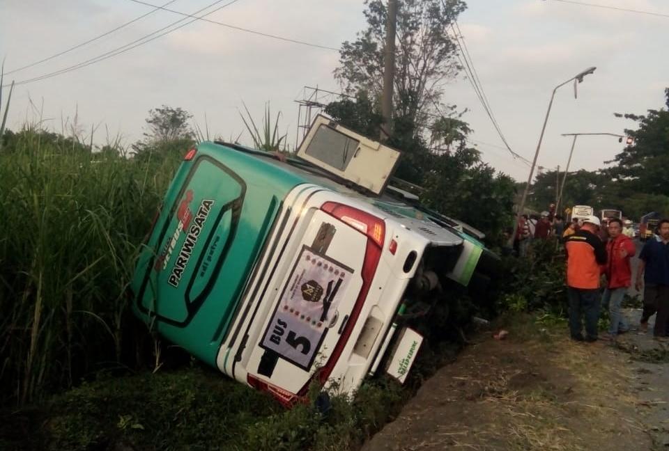 Bus pariwisata terguling akibat terlibat kecelakaan/Foto: Istimewa