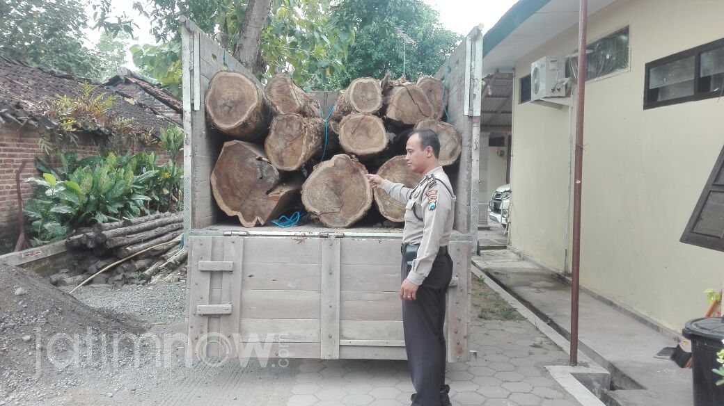 Petugas mengamankan kayu sitaan/Foto: Mita Kusuma.