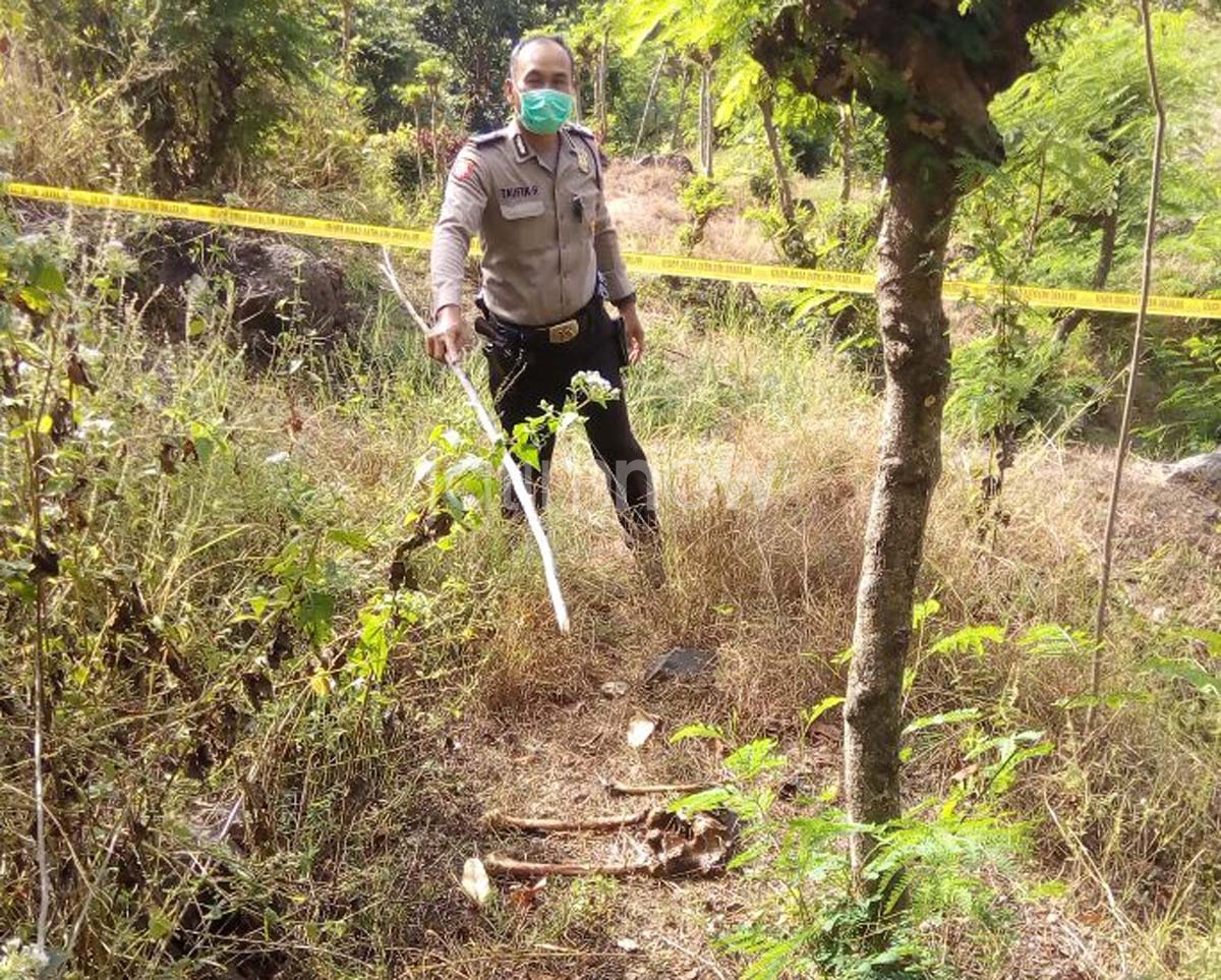 Kerangka tulang manusia yang diamankan polisi./Foto: Hafiluddin Ahmad.