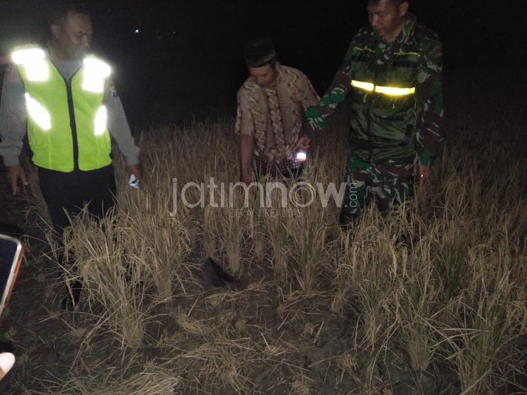 Kakek Jaman Ditemukan Tewas di Sawah Saat Panen Padi