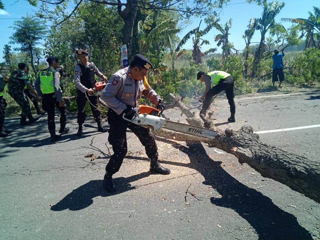 Petugas berusaha memotong pohon yang meng