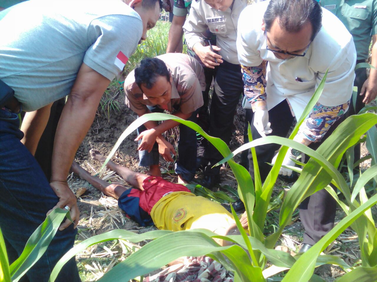 Jenazah kakek Dikin ditemukan di kebun jagung.