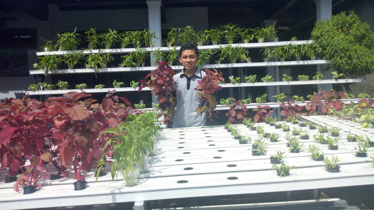 Tantowi Yahya menunjukkan hasil pertaniannya.