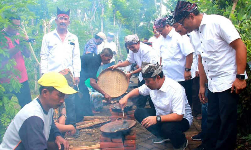Wabu Banyuwangi saat di Festival Ngunduh Kopi (petik kopi) Pitu Telu/Foto: Istimewa